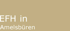 Einfamilienhaus in Amelsbüren